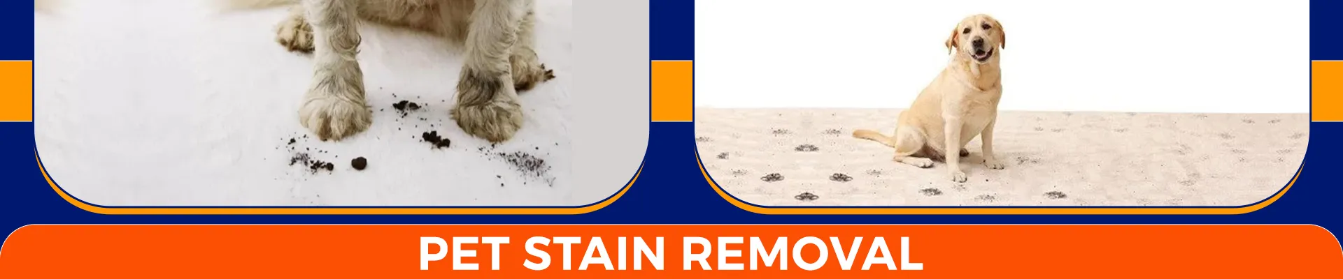 carpet cleaning in brooklyn, carpet cleaning in brooklyn, carpet cleaning brooklyn, carpet cleaners in brooklyn, carpet cleaners in brooklyn, commercial carpet cleaning, commercial carpet cleaning in brooklyn, brooklyn rug cleaners, rug cleaning services in brooklyn, same day carpet cleaning, same day rug cleaning