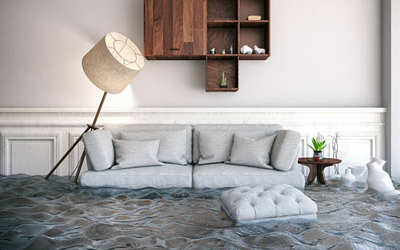 carpet cleaning in brooklyn, carpet cleaning in brooklyn, carpet cleaning brooklyn, carpet cleaners in brooklyn, carpet cleaners in brooklyn, commercial carpet cleaning, commercial carpet cleaning in brooklyn, brooklyn rug cleaners, rug cleaning services in brooklyn, same day carpet cleaning, same day rug cleaning