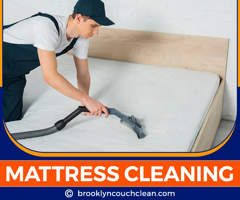 carpet cleaning in brooklyn, carpet cleaning in new york, carpet cleaning brooklyn, carpet cleaners in brooklyn, carpet cleaners in new york, commercial carpet cleaning, commercial carpet cleaning in brooklyn, brooklyn rug cleaners, rug cleaning services in brooklyn, same day carpet cleaning, same day rug cleaning