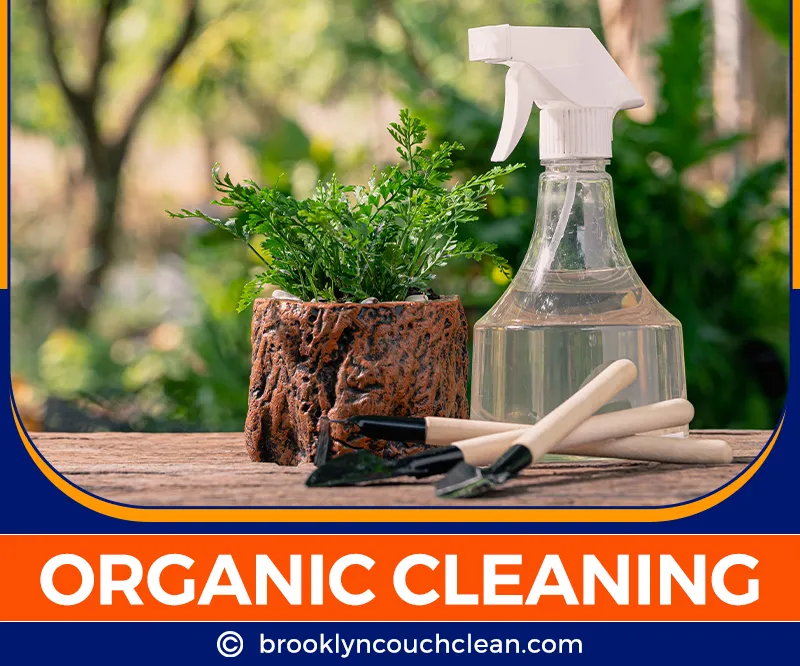 carpet cleaning in brooklyn, carpet cleaning in new york, carpet cleaning brooklyn, carpet cleaners in brooklyn, carpet cleaners in new york, commercial carpet cleaning, commercial carpet cleaning in brooklyn, brooklyn rug cleaners, rug cleaning services in brooklyn, same day carpet cleaning, same day rug cleaning